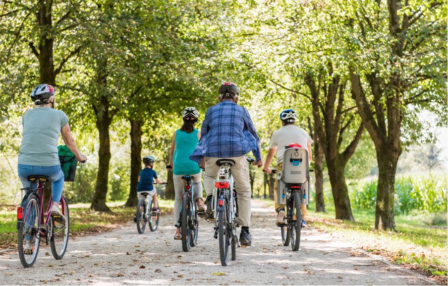 People cycling together on a tree-lined path
